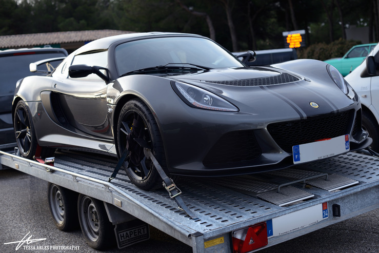TSA_LOTUS_02.03.19.jpg