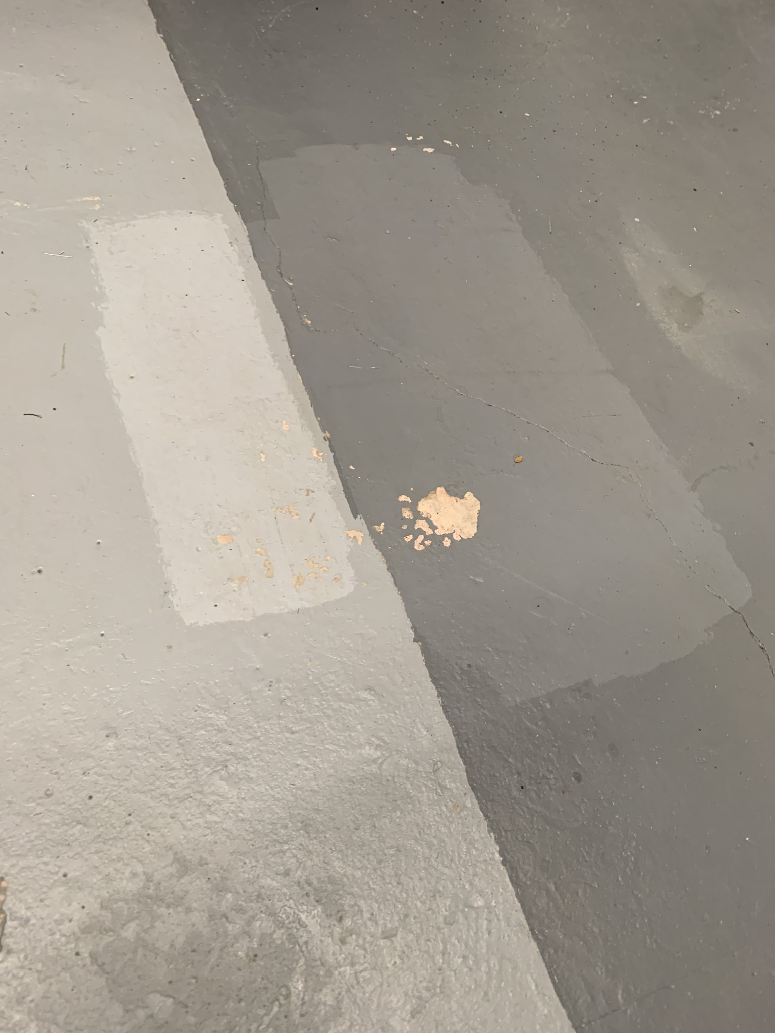 25300604-D1C6-475E-A6AC-D06203D53CE0.thumb.jpeg.ca6d5c6846d669dc9923ad0bcf98b9e6.jpeg