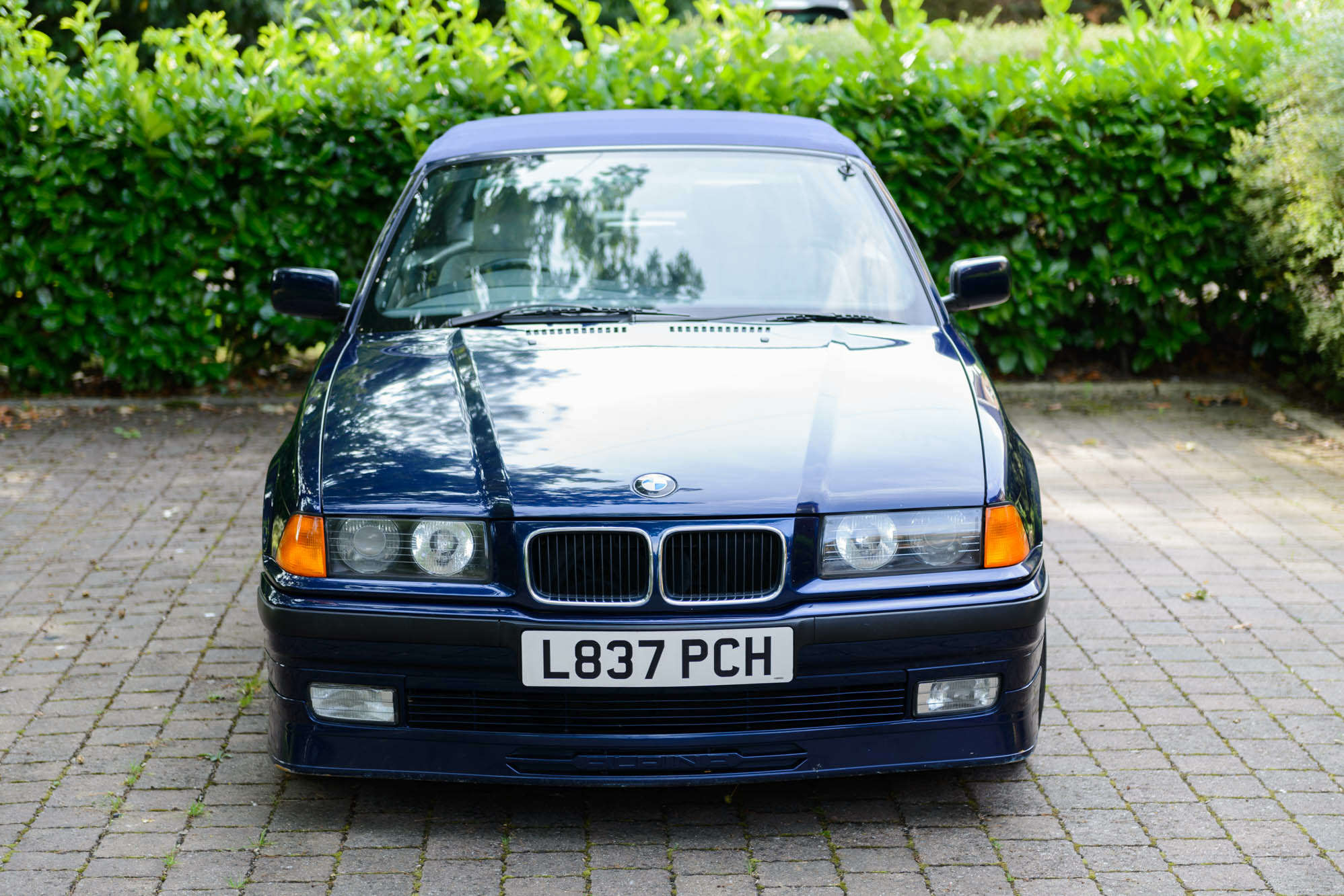 DSC_3244.jpg