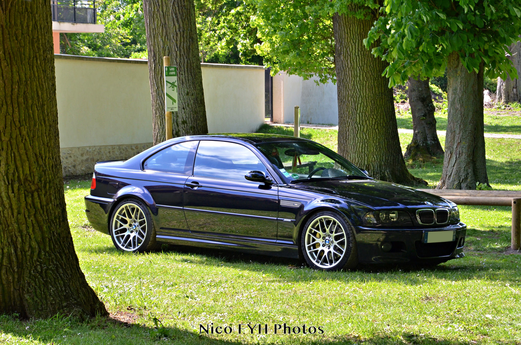 DSC_6355.JPG