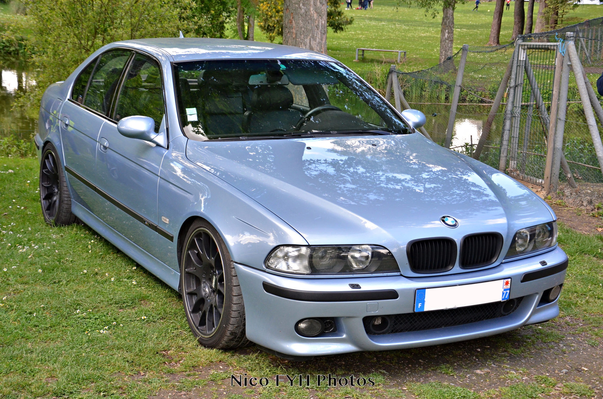 DSC_6699.JPG