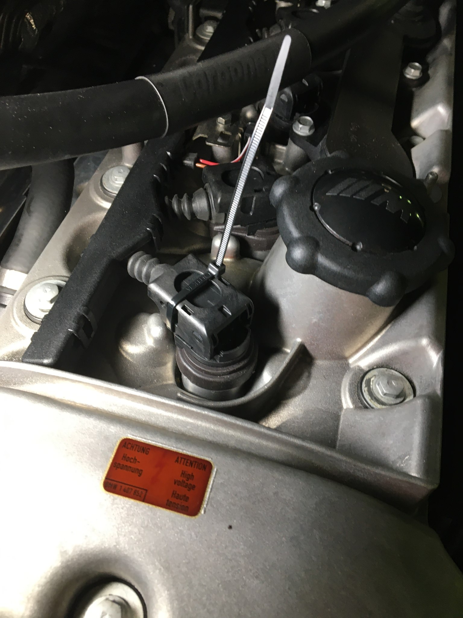 D37B88CB-6EC3-4175-A950-85A8DE110D39.thumb.jpeg.d4283197700c6fe01091a28e5f637a41.jpeg