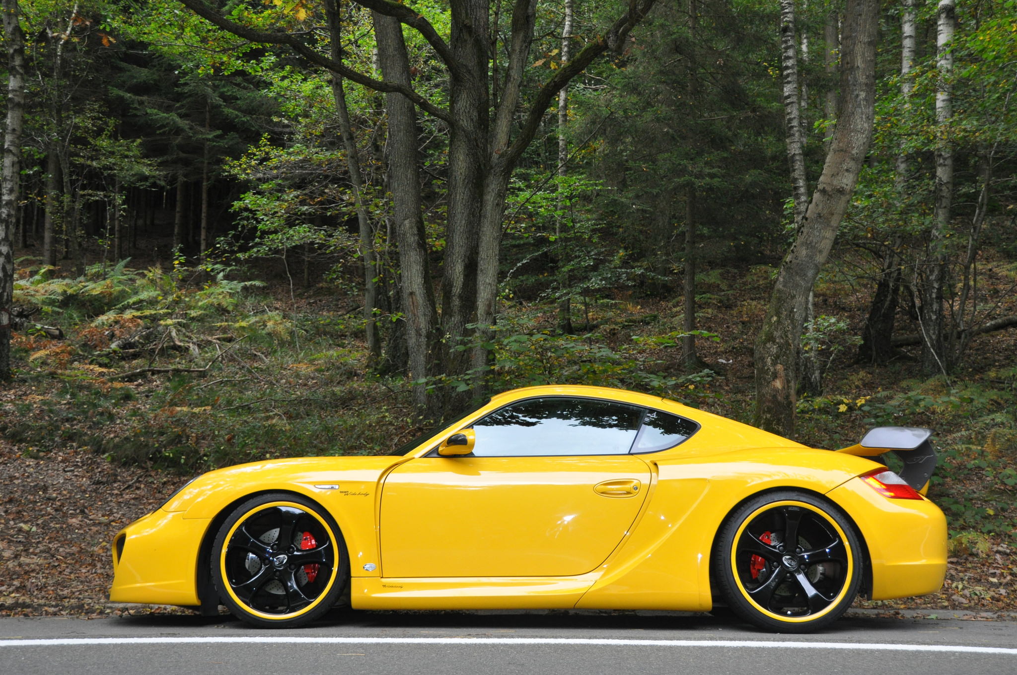 CAYMAN TECHART (3).JPG