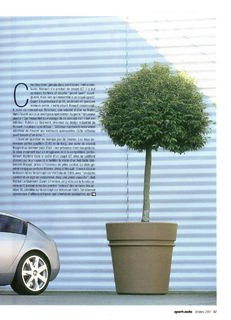 2001-10-sport-auto-577-067.jpg