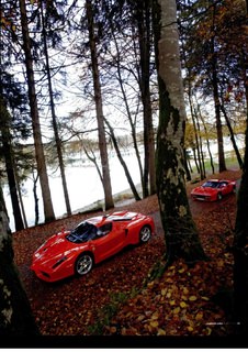2010-01-sport-auto-576-079.jpg