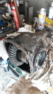 20200812_145816.jpg