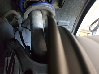 20200814_164148.jpg