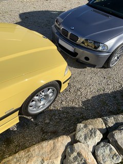913E872D-BBEF-46D5-9BE4-E62D6C885C66.thumb.jpeg.4ba19af16d0978214b7ee68942340e27.jpeg