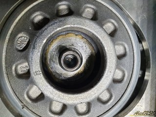 972211784_20200728_1742501(Copier).thumb.jpg.2d60afd22d7c7ee7cb2105436524d2ae.jpg