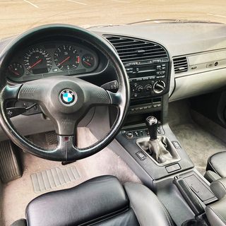 ANMV8663.JPG