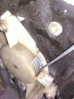 IMG_20200809_130753.jpg