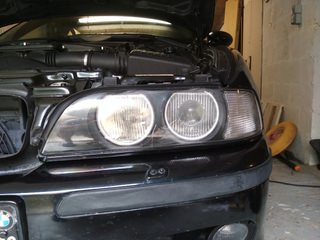IMG_20200819_150904.thumb.jpg.f5838493f6b4375cbacb12aee5452114.jpg