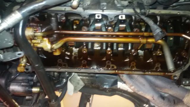 20200909_175855.jpg