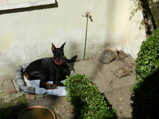 DSCN5951.JPG