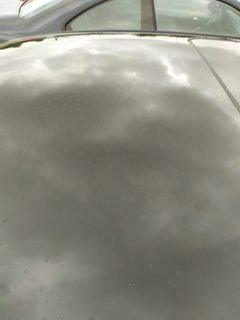 IMG_20200821_180425.jpg