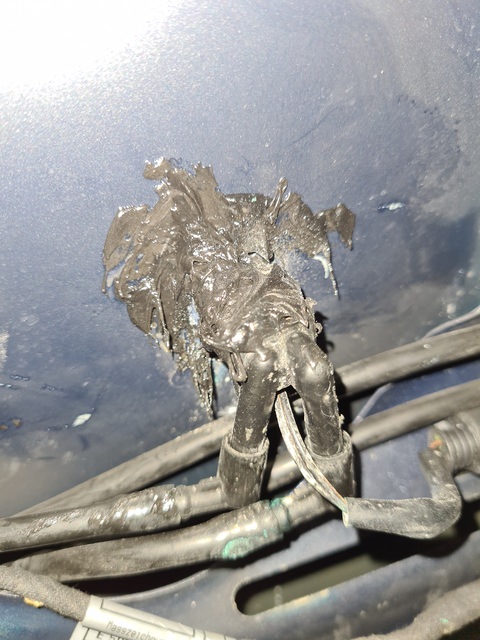 20201011_184009.jpg