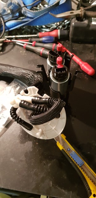 20201101_165128.jpg