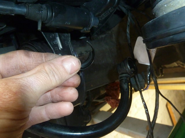 P1230858.JPG