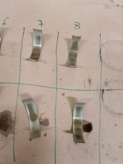 received_141111087803015.jpeg