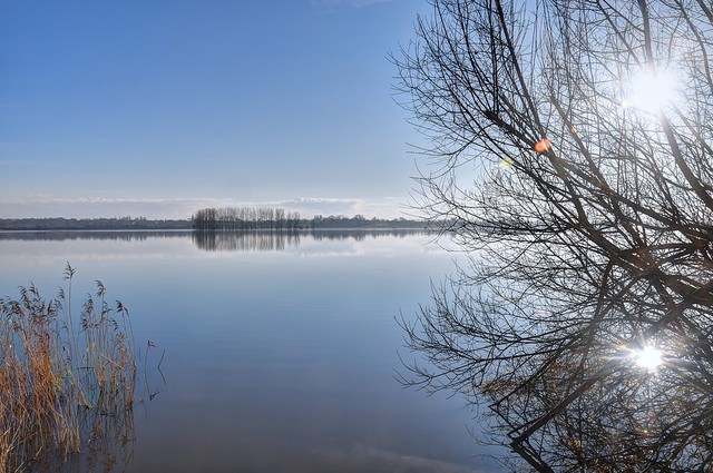1361196838_web-20210110-Marais-Sylvain(21)_2)_3)_4)_5)_Fusion-Natural.thumb.jpg.0e35ac480bf867d8941e4de320b8bae8.jpg