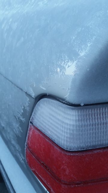 20210109_095703.thumb.jpg.f89076b5e5401da95f3aca5d40b812ba.jpg