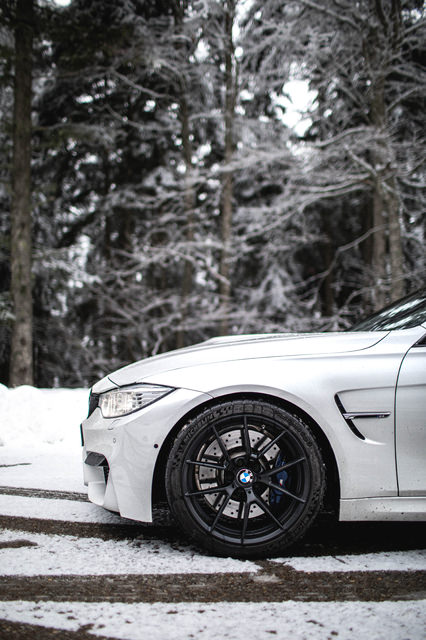 _04A9484.jpg
