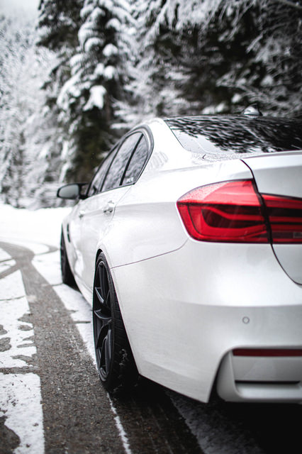 _04A9493.jpg