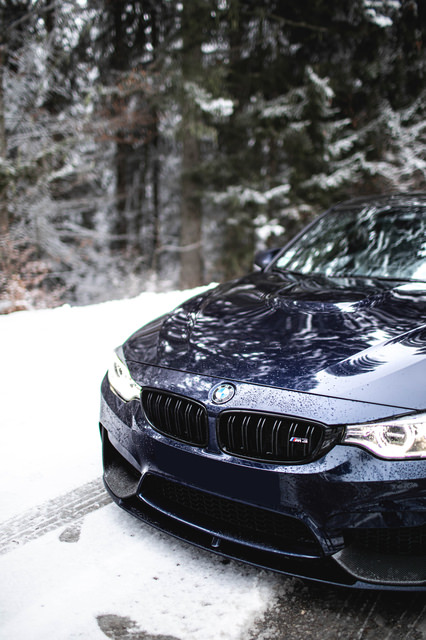_04A9501.jpg
