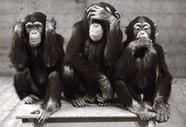 Trois-singes.jpg