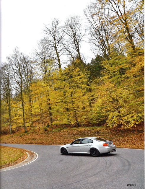 p6.jpg