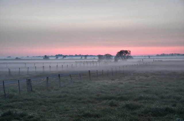 477933844_web-20210231-M3-Matin-Brume(25).thumb.jpg.5b26c364d4ed2c7dff49636b8659b63c.jpg