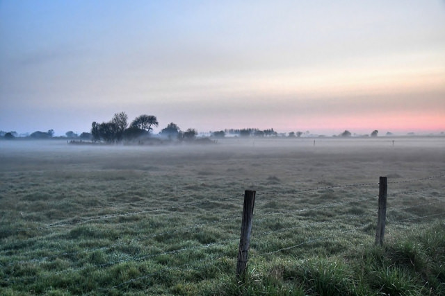 559339268_web-20210231-M3-Matin-Brume(23).thumb.jpg.3fbd5ef7c0b41f22fae02a31bdc83e7a.jpg