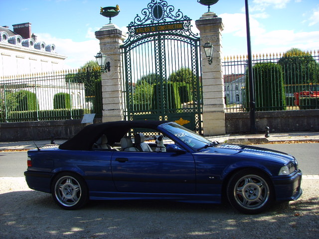 SSL24235.JPG