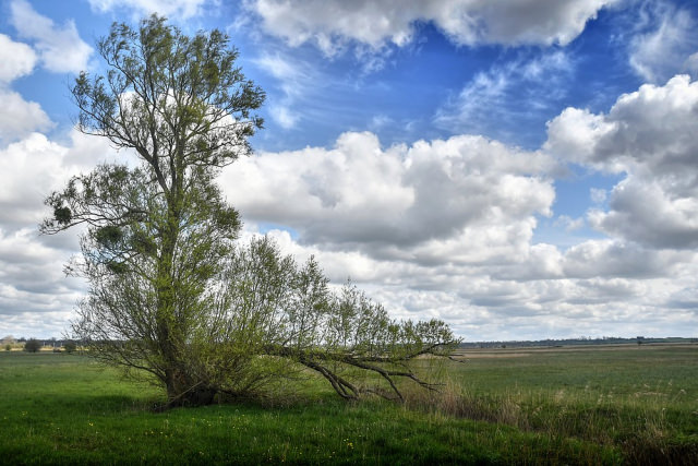 185348750_web-20210411-Carentan-Taute(38)_39)_40)_41)_42)_Enhancer-R.thumb.jpg.d712355fd788f6a25b27f2b0002603fc.jpg