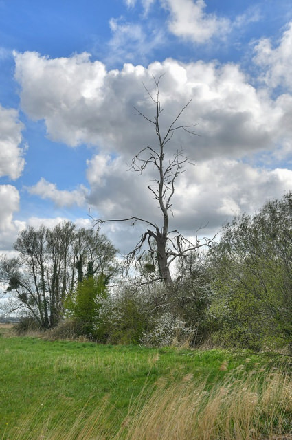 297050305_web-20210411-Carentan-Taute(28)_29)_30)_31)_32)_Enhancer-R.thumb.jpg.1f8babcbfe10d7cb452a8be746de2efd.jpg