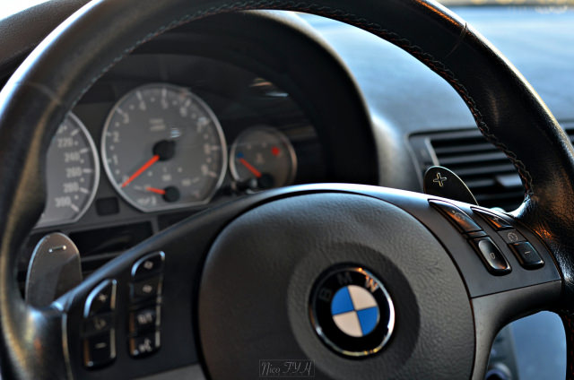 DSC_4006.thumb.JPG.93450a75208dd4f7b2920d1b73a84c36.JPG