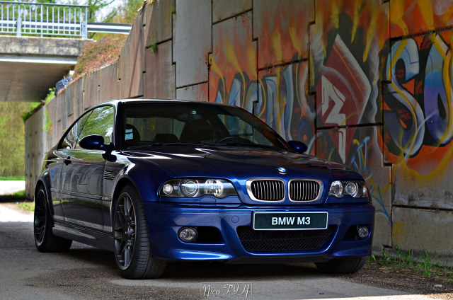 DSC_4050.thumb.JPG.960b1576a0b7f50616da2068277dcaea.JPG