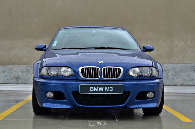 DSC_4102.thumb.JPG.ffa9d791c767e8ee67bcb5b7c353ef58.JPG