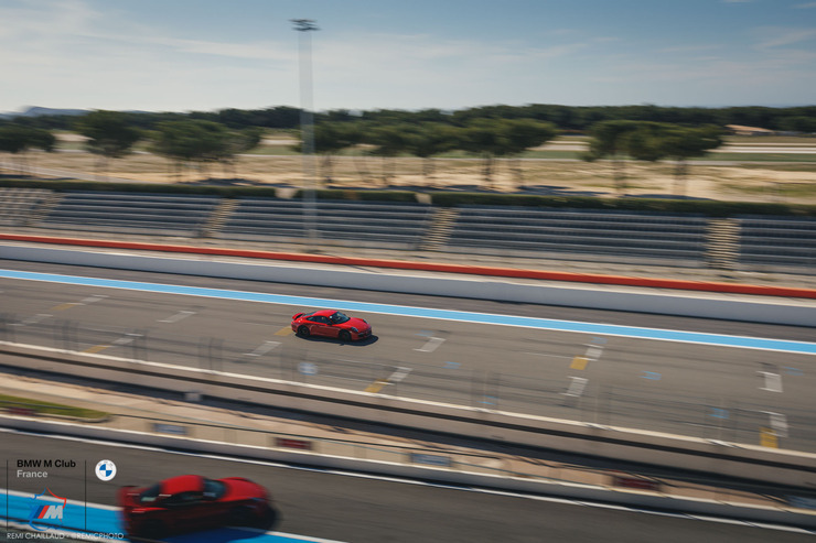 IMG_8795.jpg