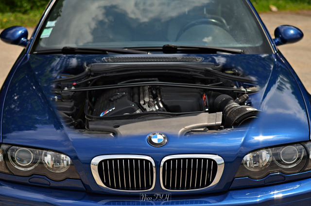 DSC_4415a.JPG