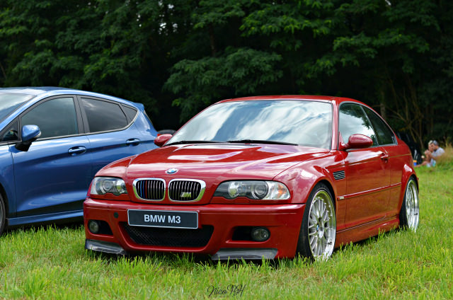 DSC_6109.thumb.JPG.ed2bcd45d1fb485d0e32bd781d9cb097.JPG