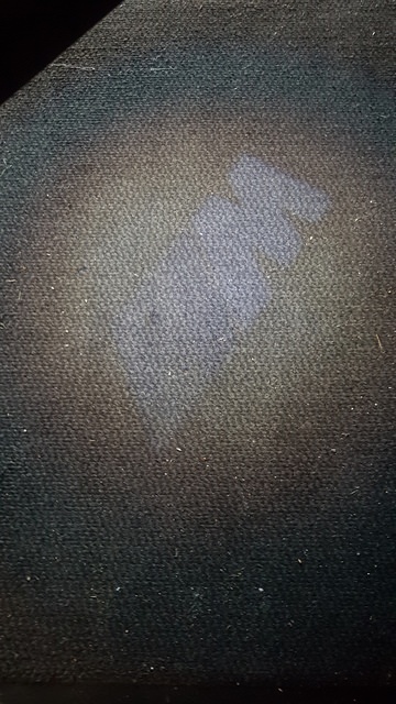 20210811_081811.jpg