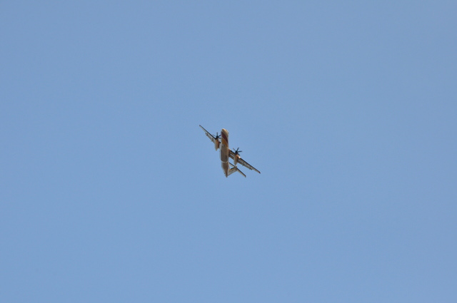 DSC_0020.thumb.JPG.2b59574fb7685a7ac1bc4f79a9279f54.JPG