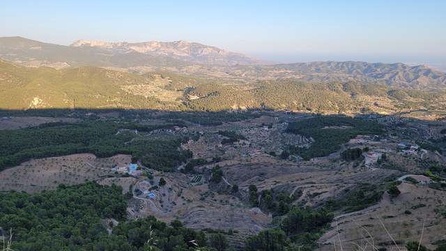 20210805_200610.jpg