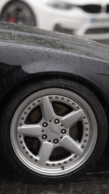 DSCF8516.jpg
