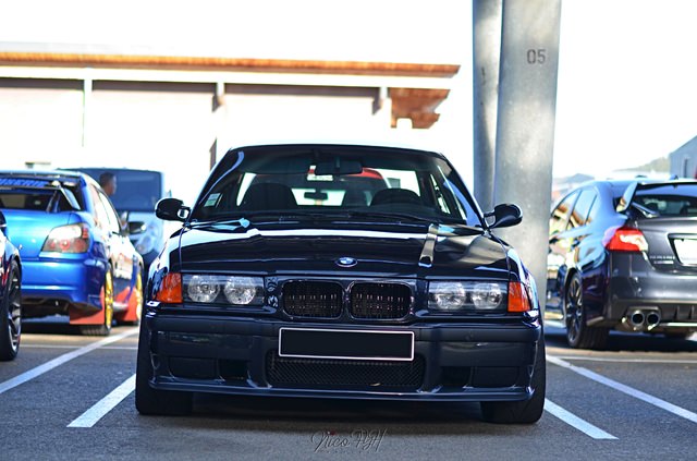 DSC_7987.thumb.JPG.626957942b5ce5f183b3daa28be169f9.JPG