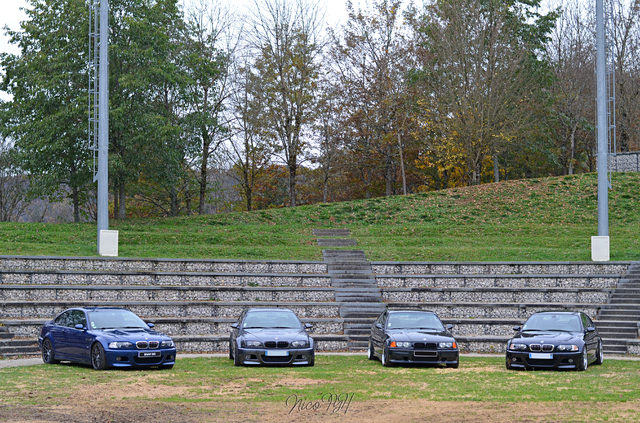 DSC_8132.thumb.JPG.5de11c05949d405ea389a8f2ac7b398c.JPG
