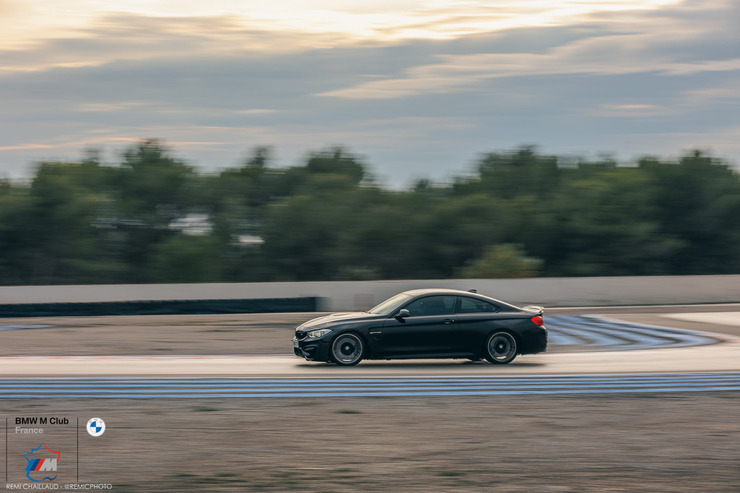 232A7480.jpg