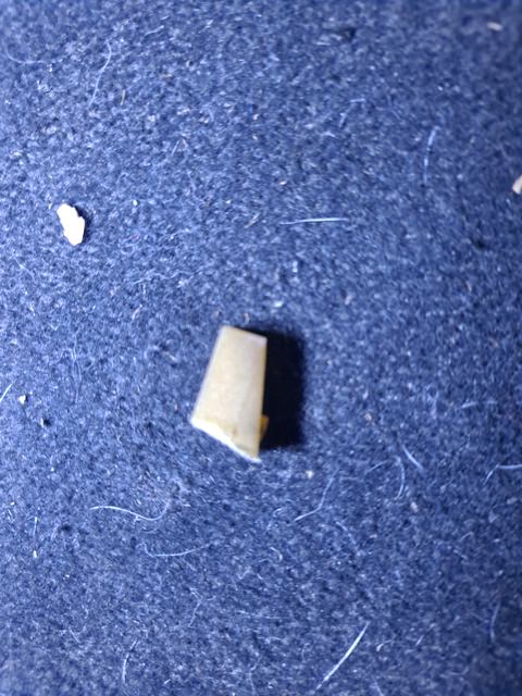 20220115_152948.jpg