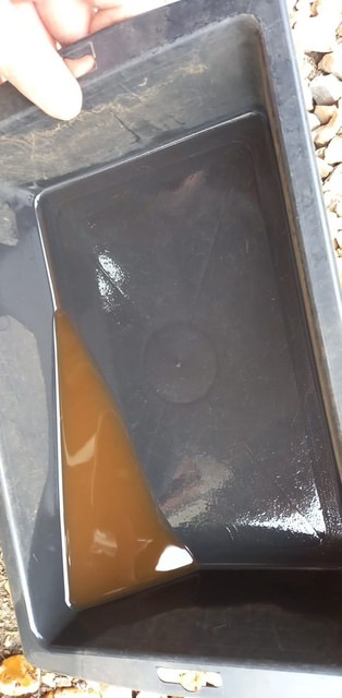 245372141_425127502383070_1438245090464346817_n.thumb.jpg.c5f287774acb75050b561d1d20f0fc6a.jpg